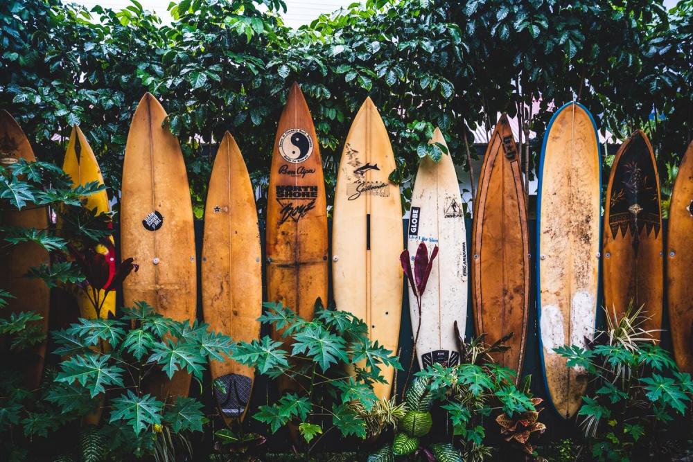 Tipos de tablas de surf y para qué sirve cada una